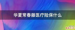 华夏常春藤医疗险保什么
