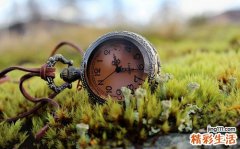 肠道紊乱按什么穴位
