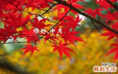 腹股沟斜疝的临床表现