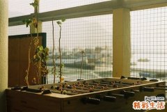 春季咳嗽怎么样治疗