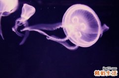 春季如何预防肌肤干燥
