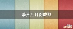荸荠几月份成熟