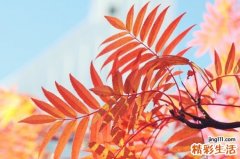 颌骨囊肿的临床表现