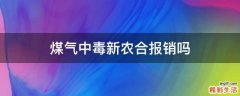 煤气中毒新农合报销吗