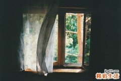 春季吃什么减肥快