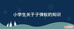 小学生关于子弹蚁的知识