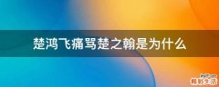 楚鸿飞痛骂楚之翰是为什么