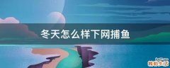 冬天怎么样下网捕鱼