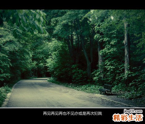 山荆子的药用价值_山荆子的副作用