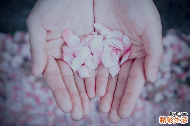 何谓慢性肾功能衰竭症