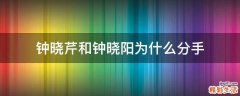 钟晓芹和钟晓阳为什么分手