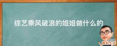 综艺乘风破浪的姐姐做什么的