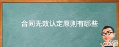 合同无效认定原则有哪些
