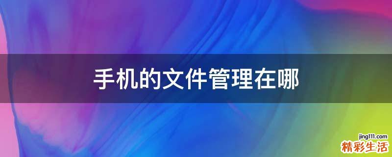 手机的文件管理在哪