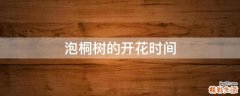 泡桐树的开花时间