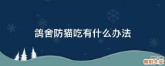 鸽舍防猫吃有什么办法