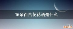 16朵百合花花语是什么