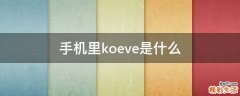 手机里koeve是什么