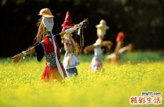 新生儿各个月发育标准