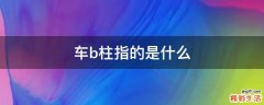 车b柱指的是什么