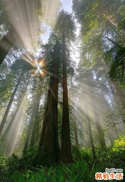 老年人腰背痛贫血警惕骨髓瘤