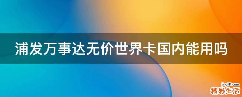 浦发万事达无价世界卡国内能用吗