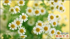 小孩散光治疗方法
