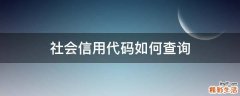 社会信用代码如何查询