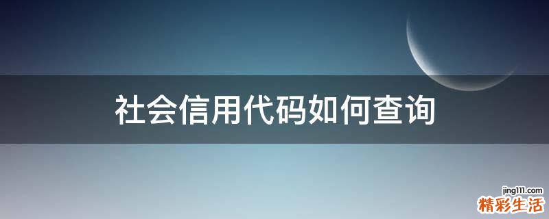 社会信用代码如何查询