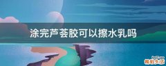 涂完芦荟胶可以擦水乳吗