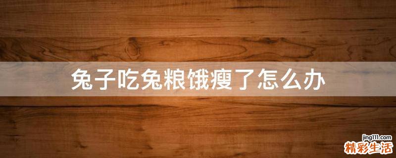 兔子吃兔粮饿瘦了怎么办