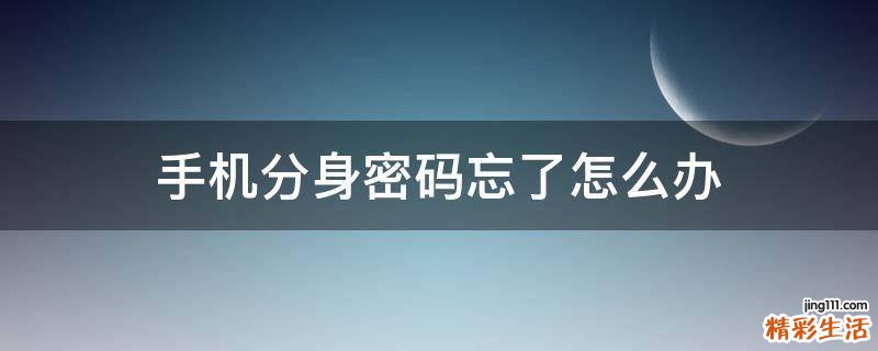 手机分身密码忘了怎么办