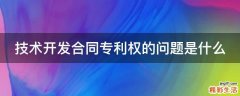 技术开发合同专利权的问题是什么