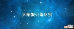 大闸蟹公母区别