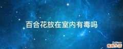 百合花放在室内有毒吗