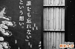 2 中药沙苑子