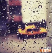 3 分辨真假藏红花