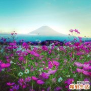 郑州立春的习俗