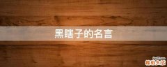 黑瞎子的名言