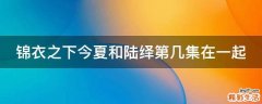 锦衣之下今夏和陆绎第几集在一起
