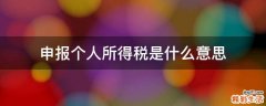 申报个人所得税是什么意思