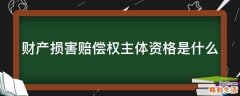 财产损害赔偿权主体资格是什么