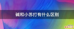 碱和小苏打有什么区别