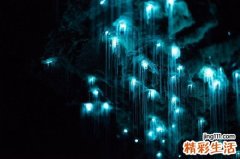 肝肿瘤就是肝癌吗