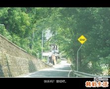3 灯盏细辛