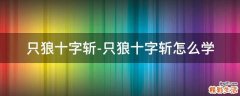 只狼十字斩-只狼十字斩怎么学