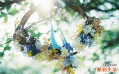 5 慈姑花