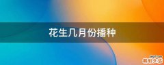 花生几月份播种