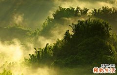 喝茶胃疼怎么缓解