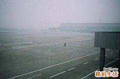 2 慈姑花
